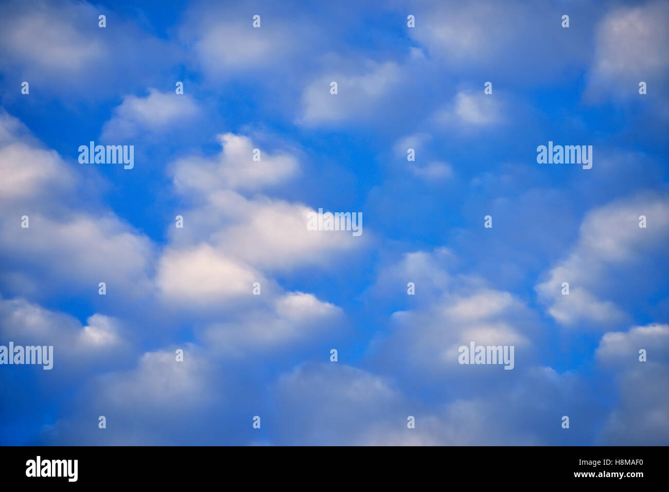 Meteo fenomeno lanosa nuvole (cirrocumulus) nel cielo Foto Stock