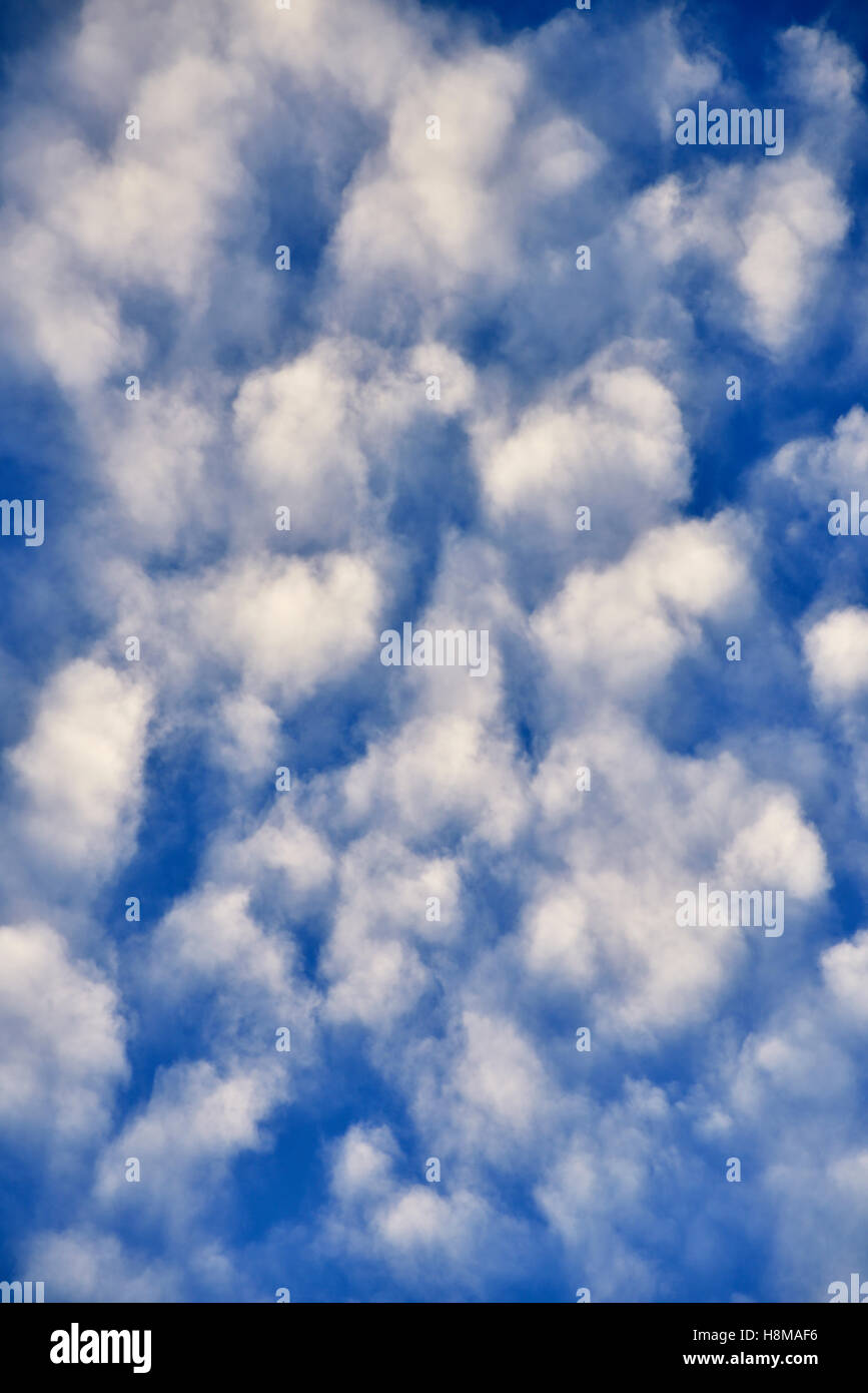 Meteo fenomeno lanosa nuvole (cirrocumulus) nel cielo Foto Stock