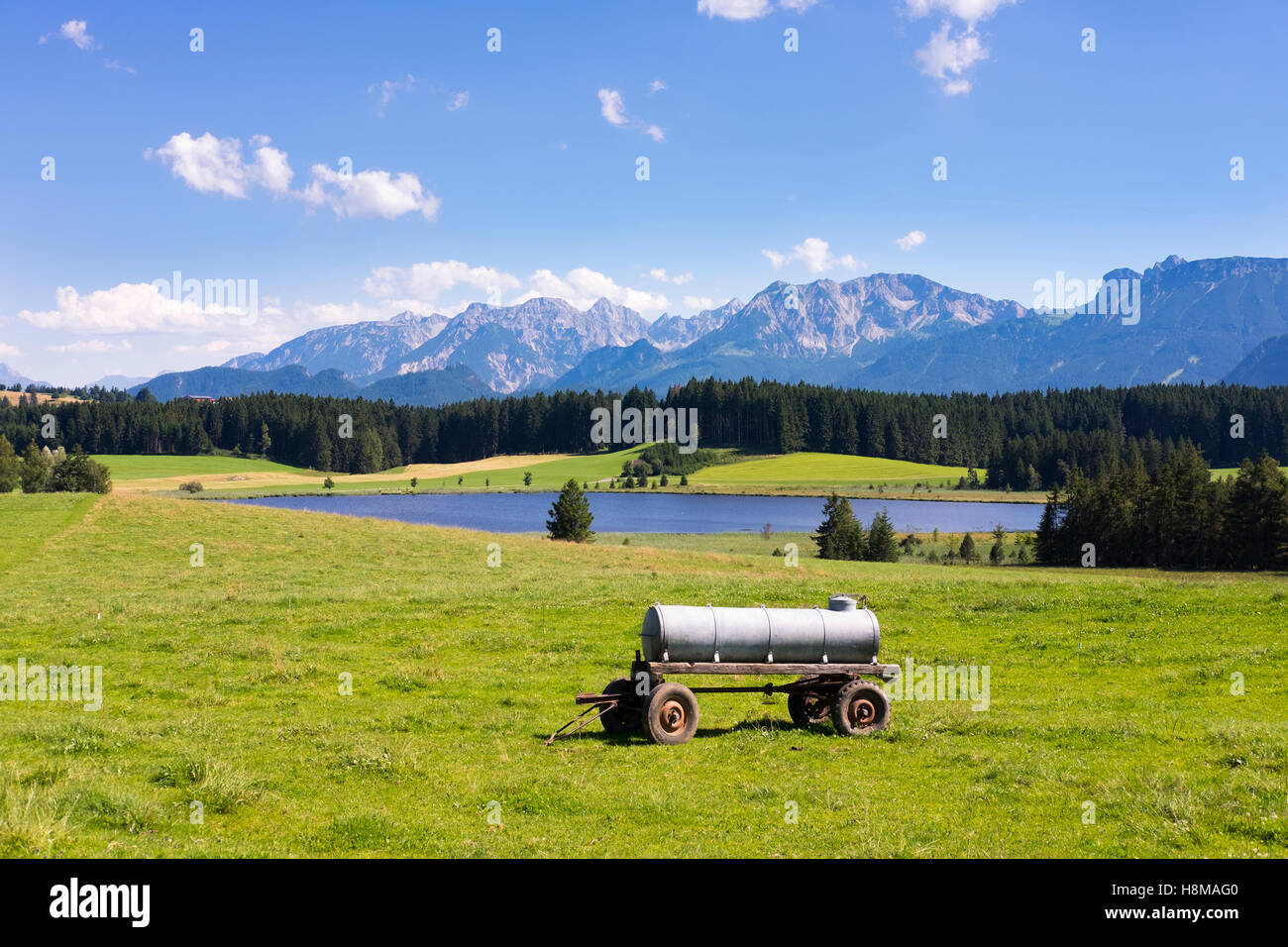 Serbatoio di acqua in prato, Attlesee, Nesselwang, Algovia Alpi, Ostallgäu, Algovia, Svevia, Baviera, Germania Foto Stock