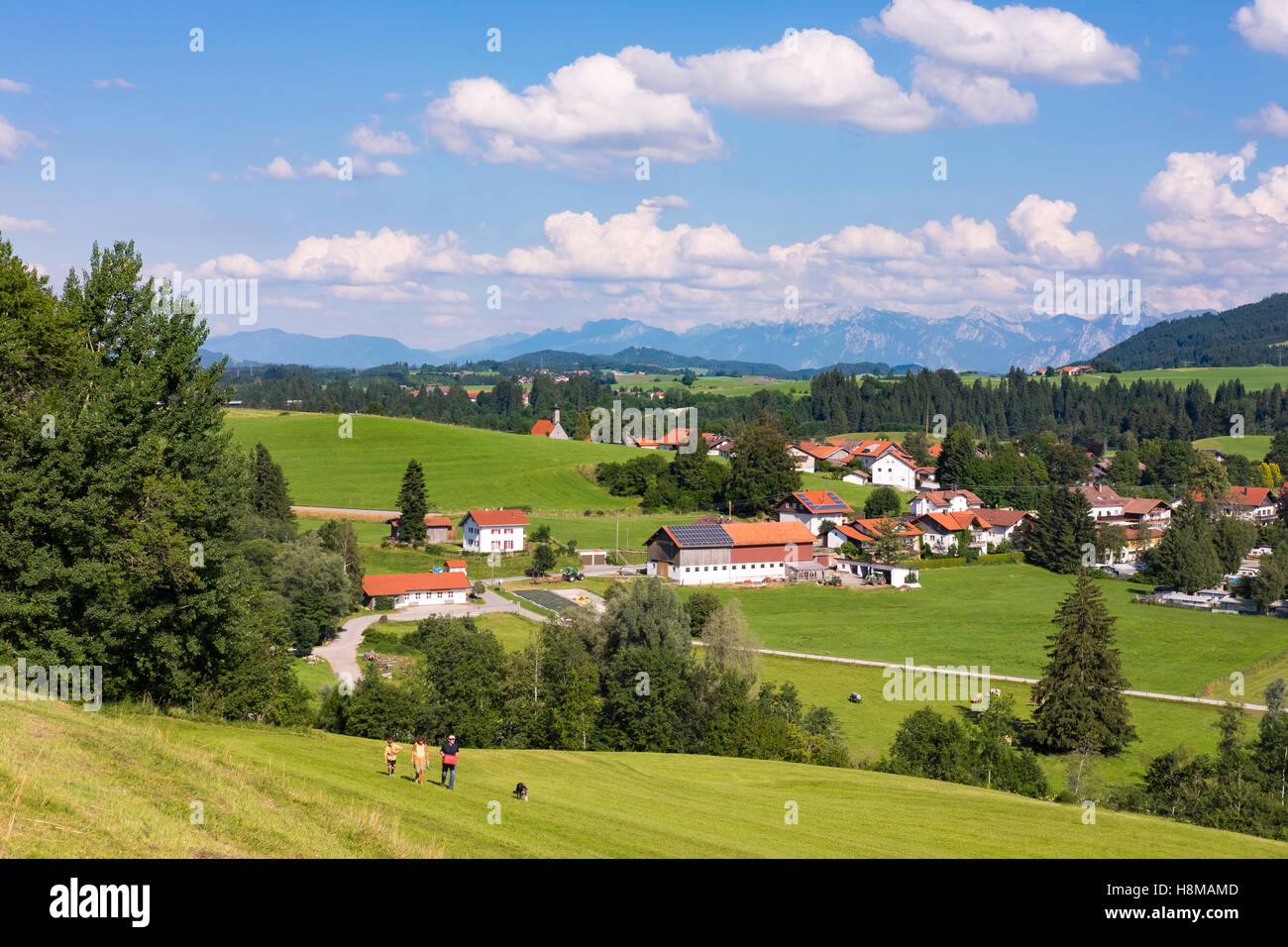 Haslach, Oy-Mittelberg, vista da Wolfsknobel, Oberallgäu, Algovia, Svevia, Baviera, Germania Foto Stock