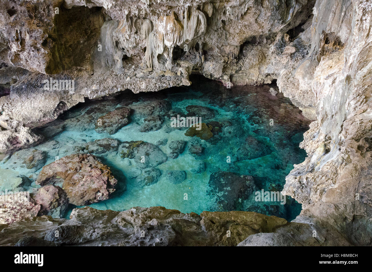 Grotte di calcare, Avaiki, Nuie, South Pacific Oceania Foto Stock