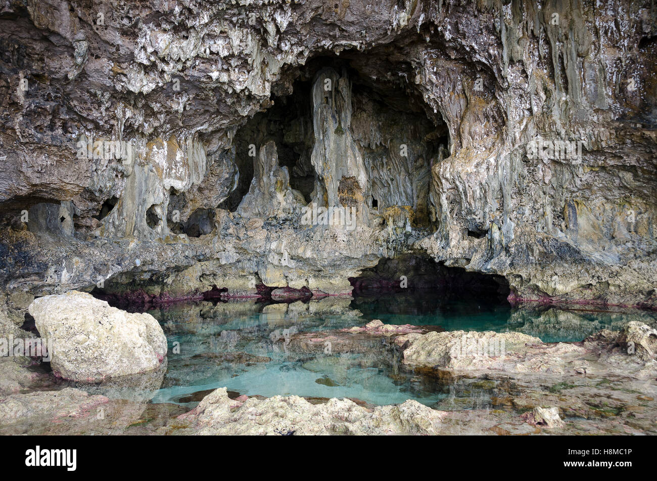 Grotte di calcare, Avaiki, Nuie, South Pacific Oceania Foto Stock