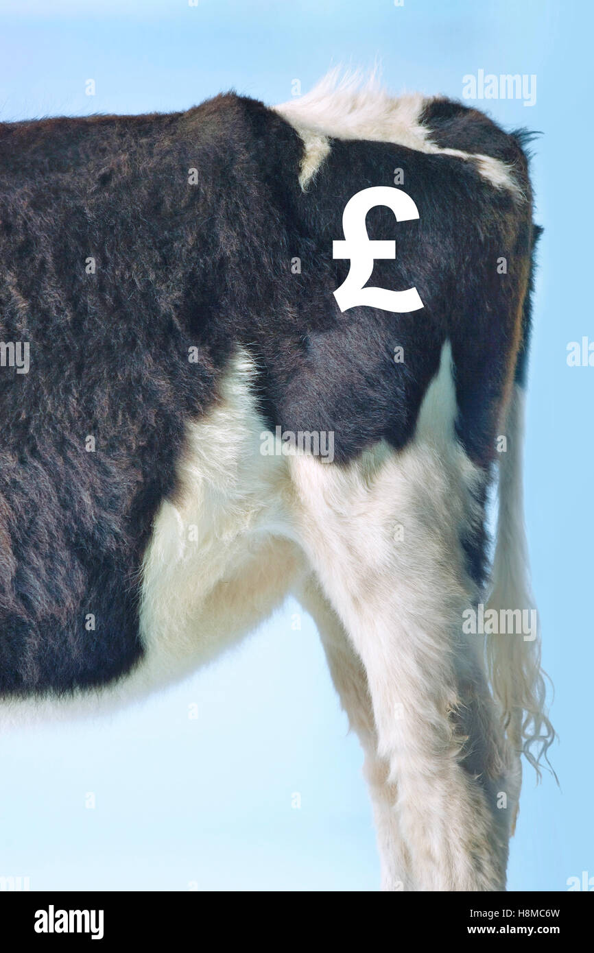 Il prezzo delle carni bovine Foto Stock