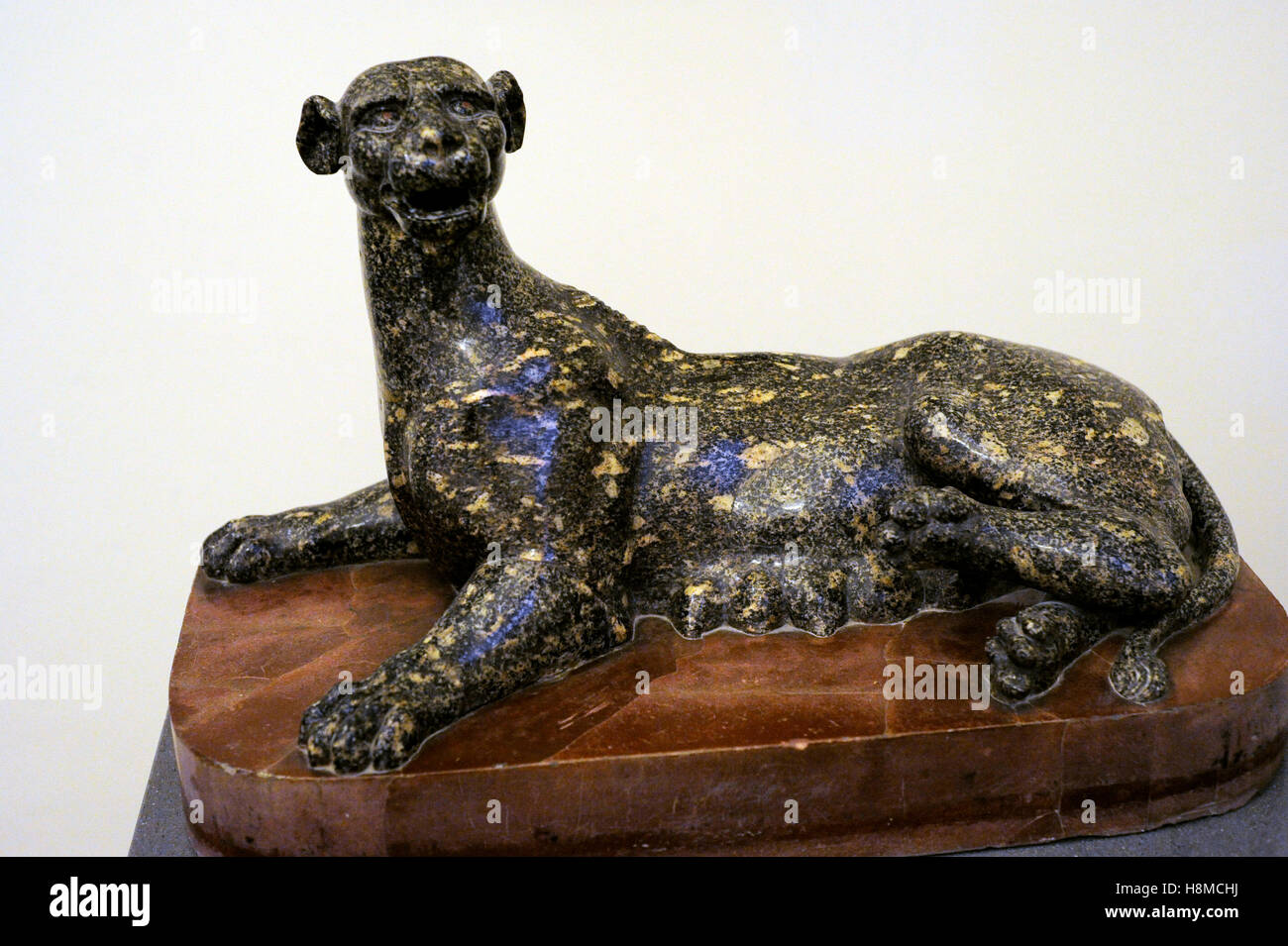 Statua di Panther. Di epoca imperiale. Opera Romana. Il granito. Museo Archeologico Nazionale di Napoli. L'Italia. Foto Stock