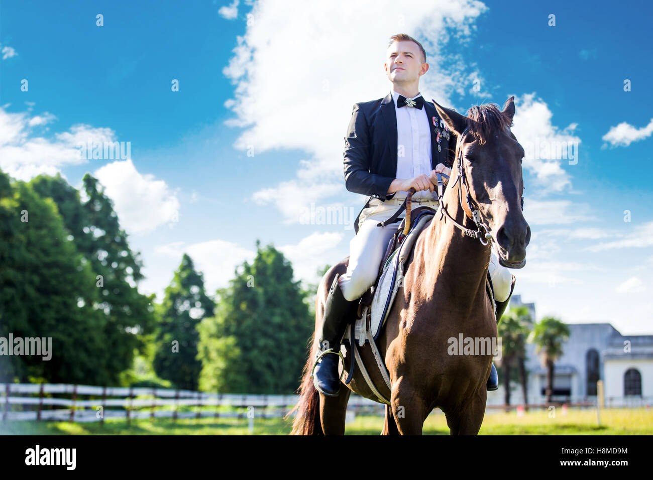 Riflessivo ben vestito uomo seduto sul cavallo contro il cielo nuvoloso Foto Stock