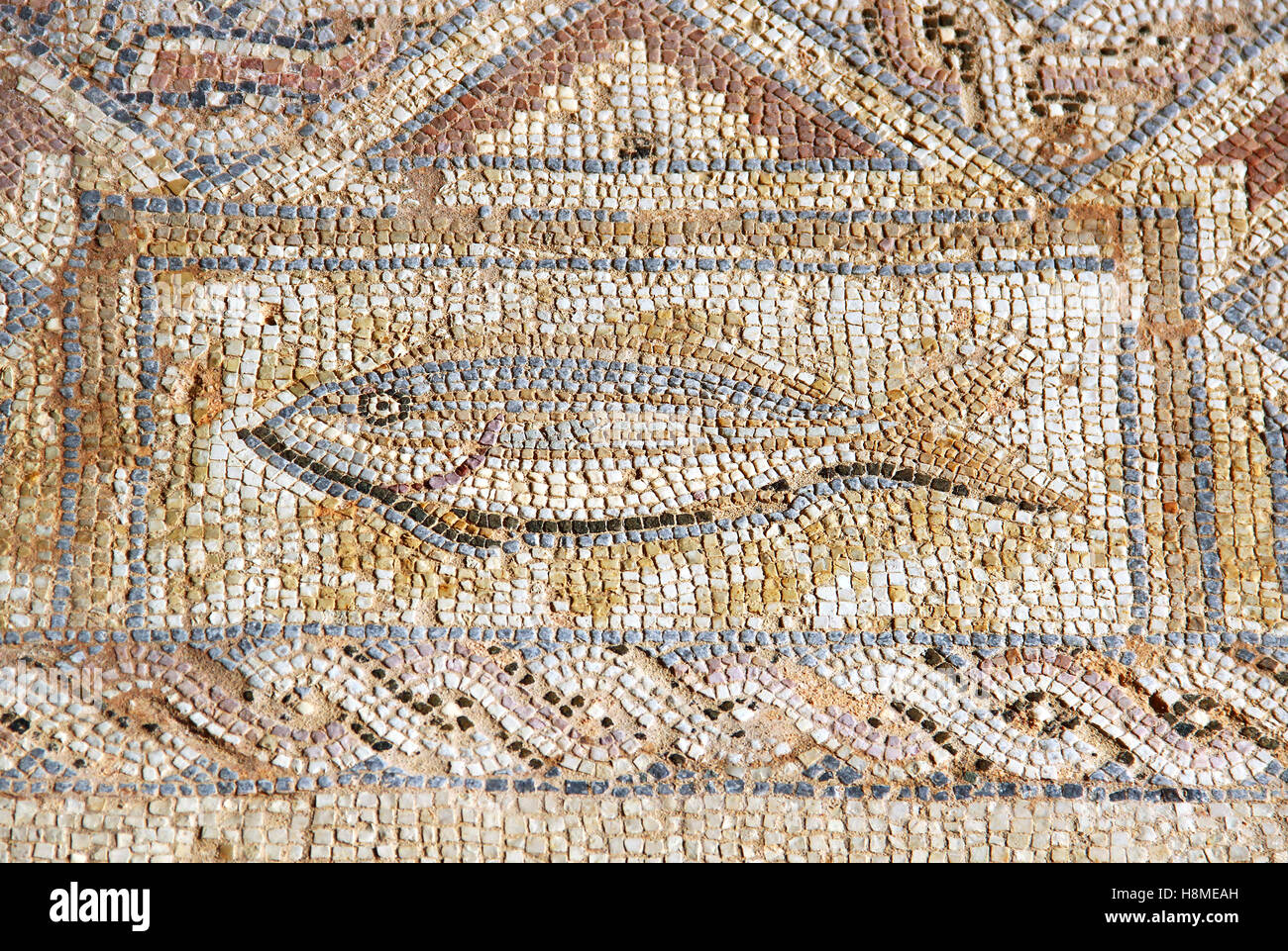 Il frammento di un Mosaico Antico in Kourion, Cipro Foto Stock
