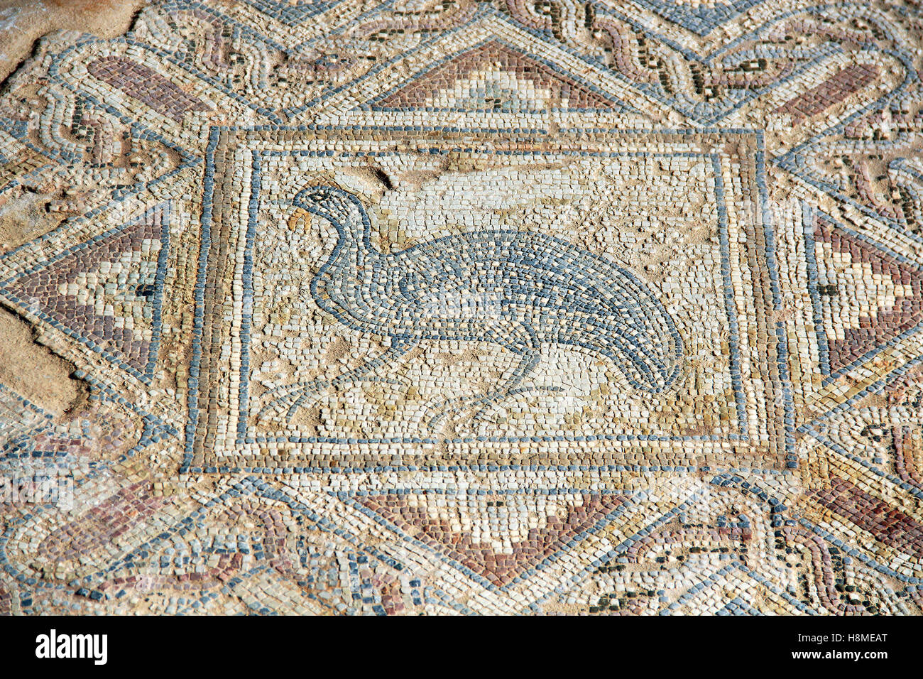 Il frammento di un Mosaico Antico in Kourion, Cipro Foto Stock