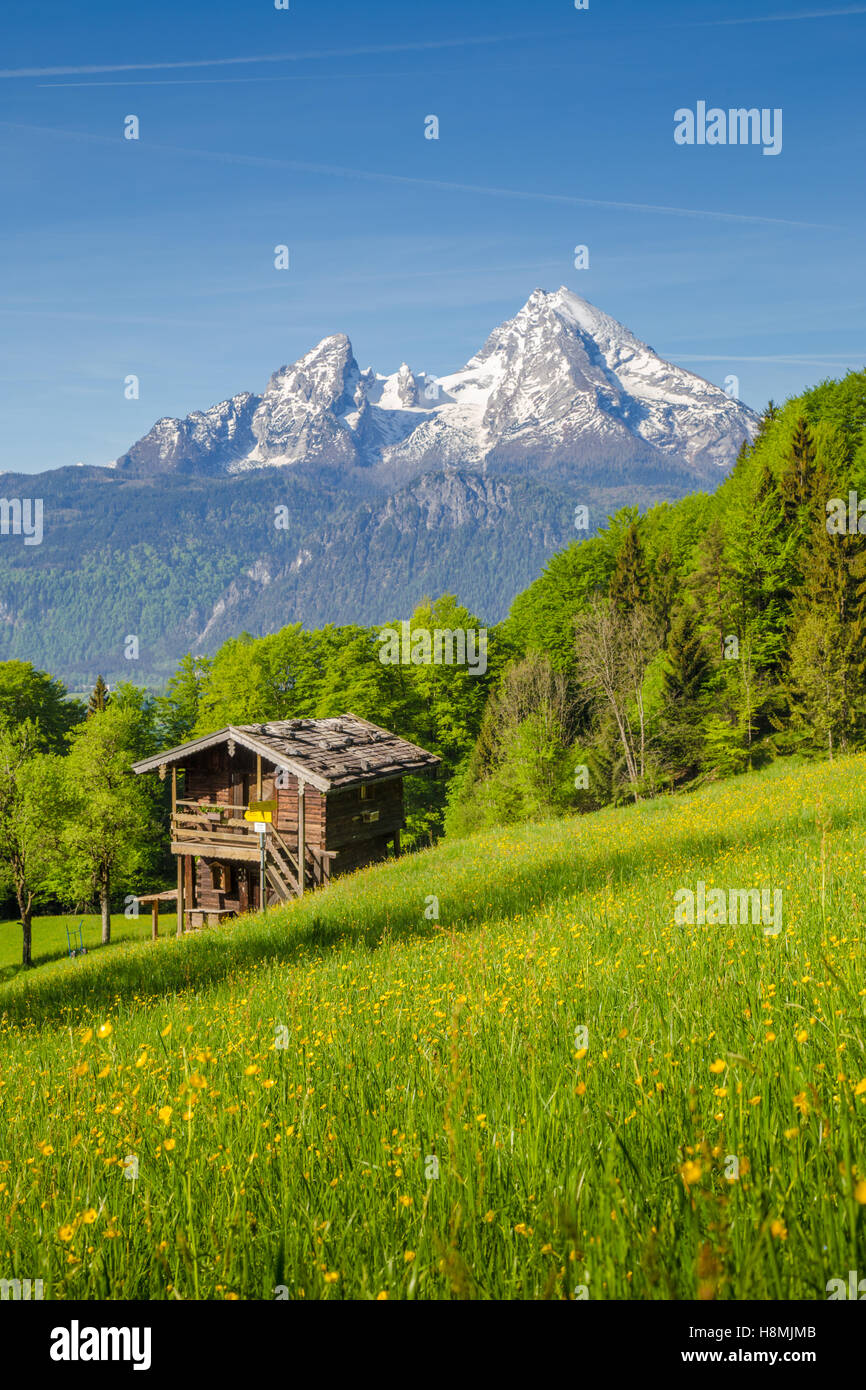 Bellissima vista idilliaco paesaggio di montagna delle Alpi con chalet di montagna tradizionale e fresco verde pascoli di montagna in una giornata di sole in estate Foto Stock