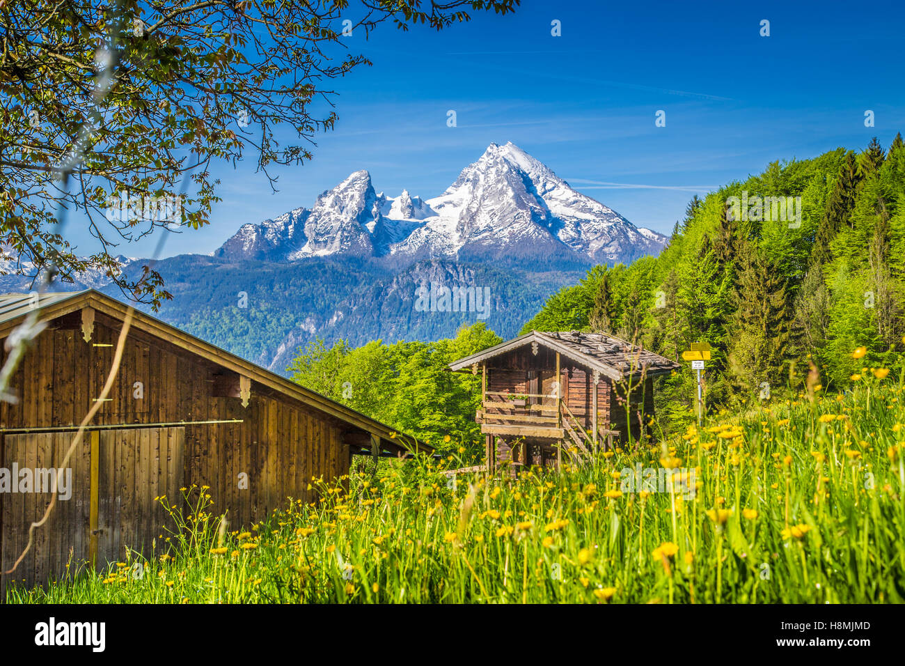 Bellissima vista idilliaco paesaggio di montagna delle Alpi con un tradizionale chalet di montagna e freschi verdi pascoli di montagna in una giornata di sole in estate Foto Stock