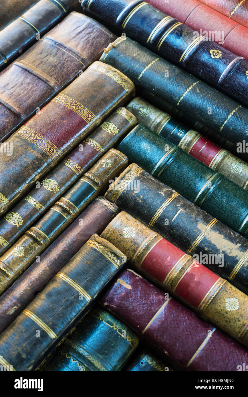 Vecchio libro sullo sfondo della colonna vertebrale Foto Stock
