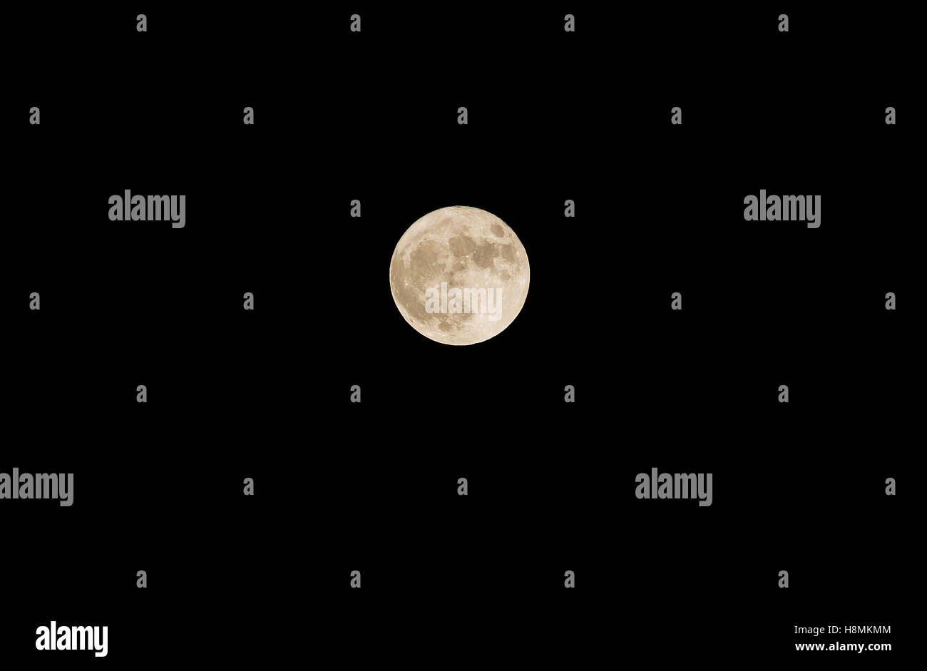 Super luna piena, luna più grande nel 21 secolo, novembre 14th, 2016 visto dall Europa centrale Foto Stock