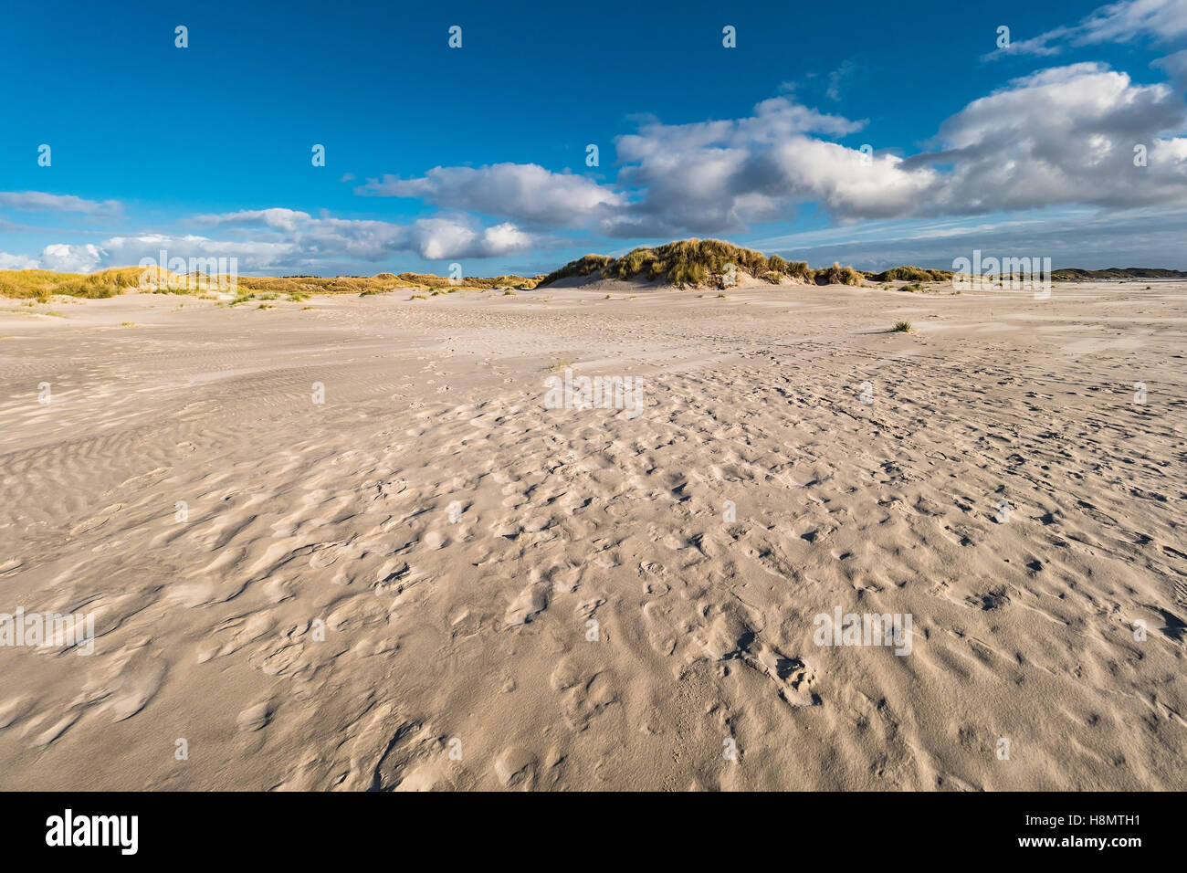 Dune sulla costa del Mare del Nord dell'isola Amrum, Germania Foto Stock