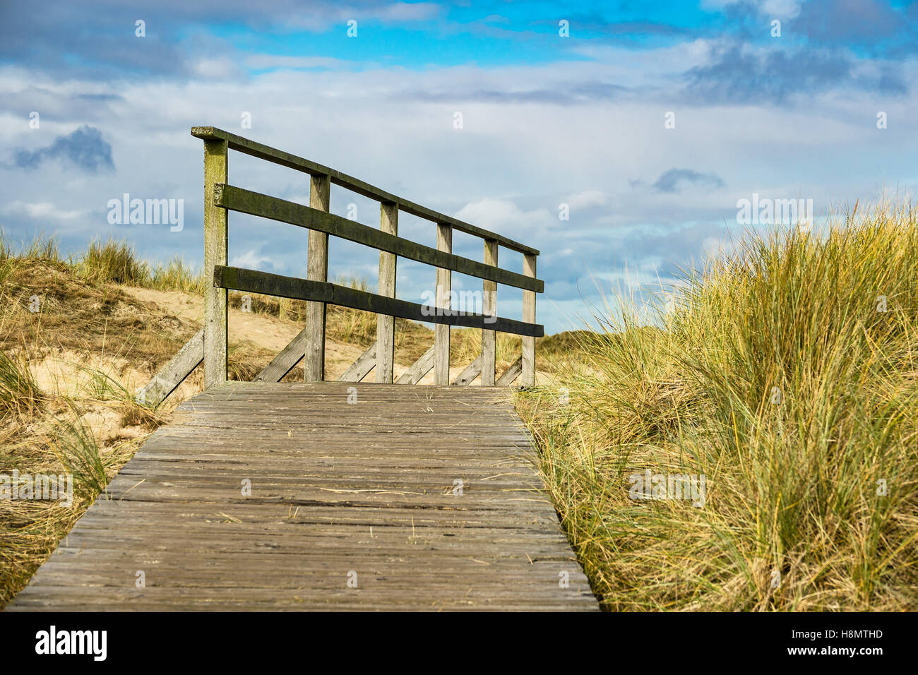 Dune sulla costa del Mare del Nord dell'isola Amrum, Germania Foto Stock