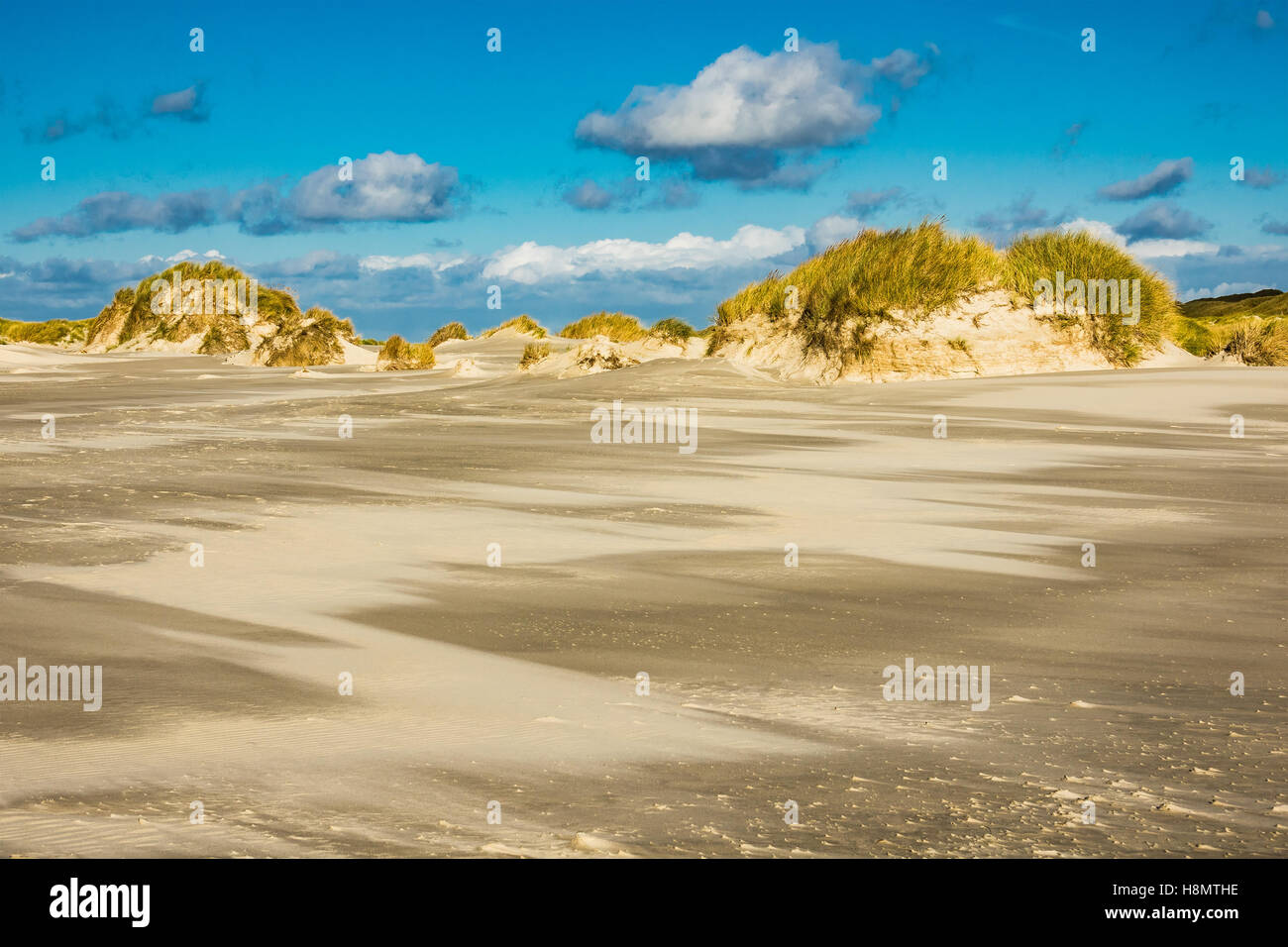 Dune sulla costa del Mare del Nord dell'isola Amrum, Germania Foto Stock