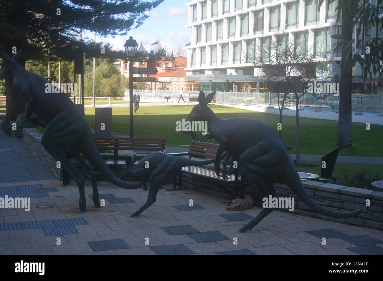 Il trio di bronzo a grandezza naturale di mob kangaroo è nel centro di Perth, Australia Foto Stock