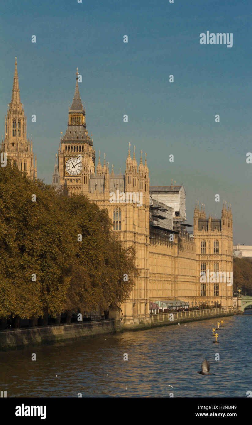 Il Big Ben è icona culturale britannico ,la torre è uno dei più importanti simboli del Regno Unito. Foto Stock