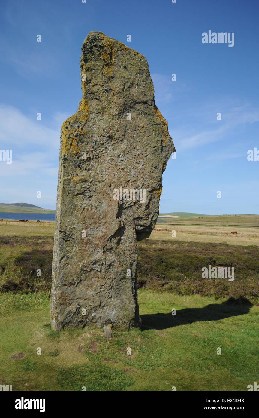 Anello di Brodgar cerchio di pietra, Orkney Foto Stock