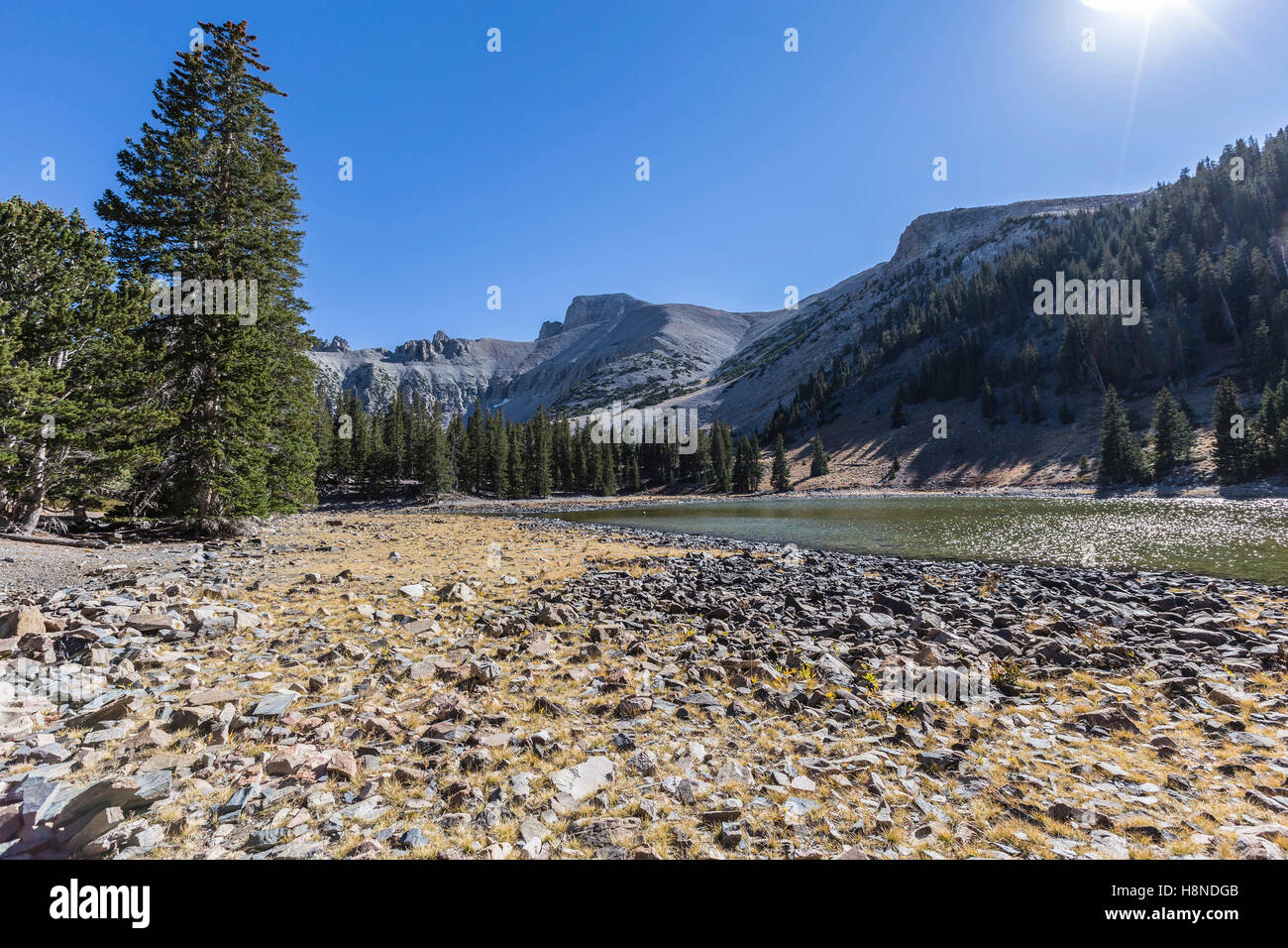 Stella lago sottostante Wheeler Mountain al Parco nazionale Great Basin nella parte orientale del Nevada. Foto Stock