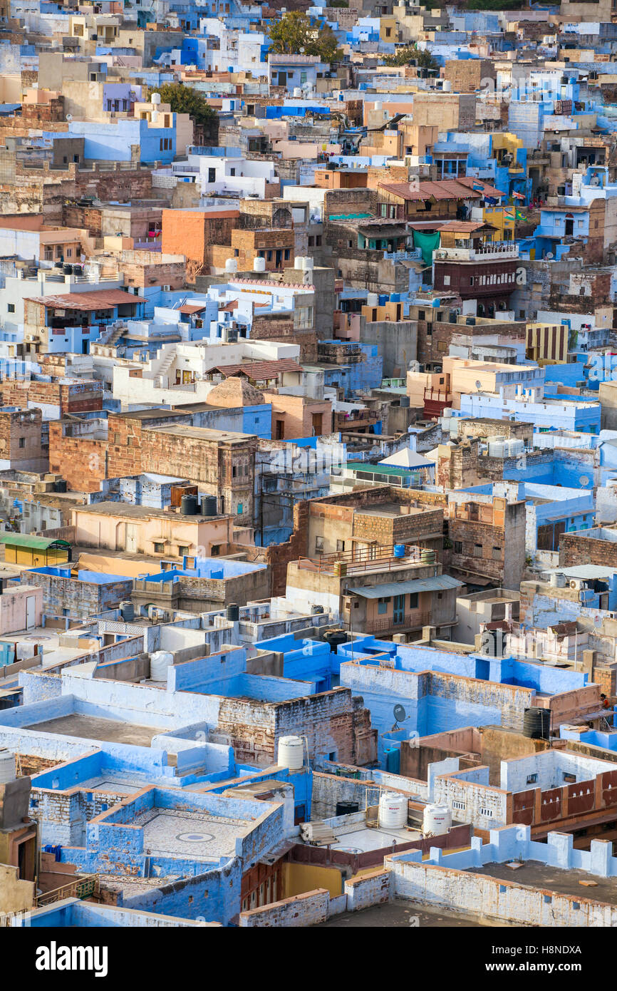 Jodhpur la città blu visto dal Forte Mehrangarh, Rajasthan, India, Asia Foto Stock