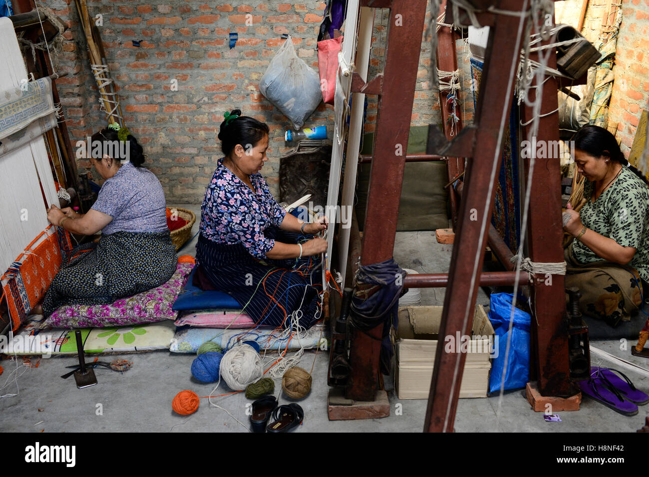 NEPAL Kathmandu, Lalitpur, campo profughi tibetano Jawalakhel, fabbrica di tappeti JHC Jawalakhel Handicraft Center, donne rifugiate tibetane annodano tappeti a telaio per generazione di reddito Foto Stock