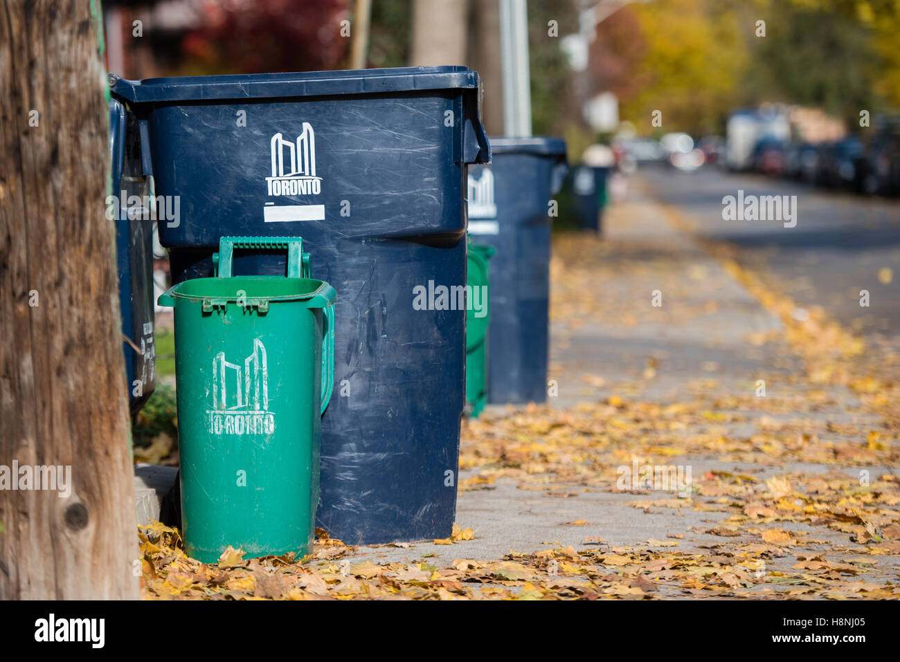 Città di Toronto il riciclaggio e gli scomparti di organico Foto Stock