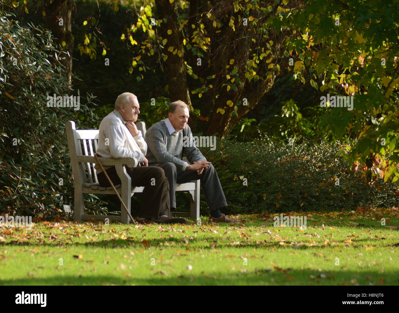 Autunno a RHS Rosemoor, Torrington Foto Stock