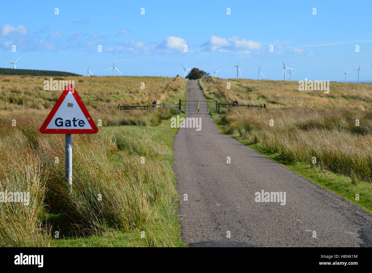 Gated strada in Northumberland Foto Stock