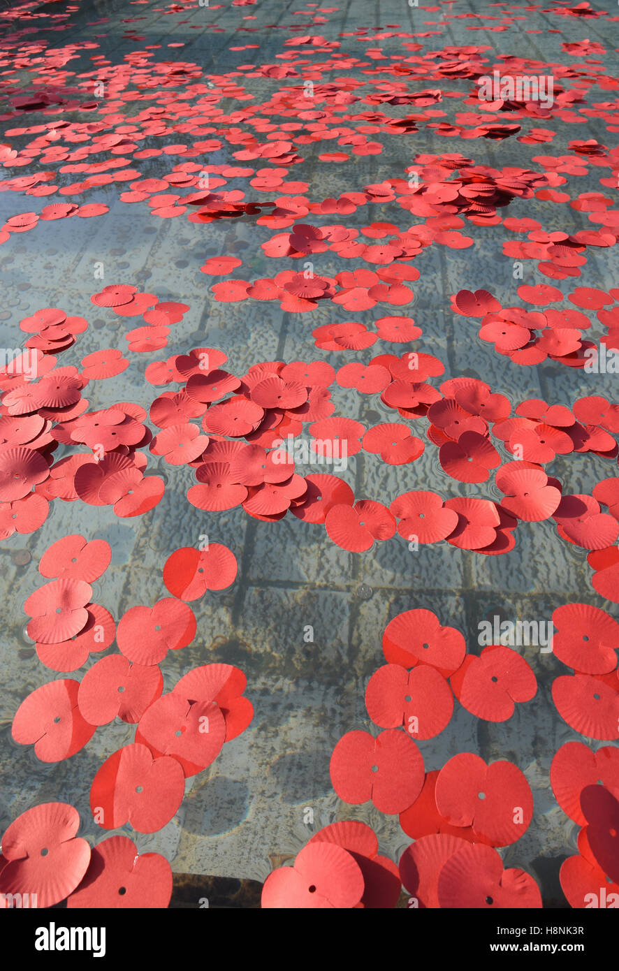 Papaveri sparsi nelle fontane,il giorno dell'Armistizio,la Royal British Legion,silenzio in Piazza,Trafalgar Square,London.UK Foto Stock