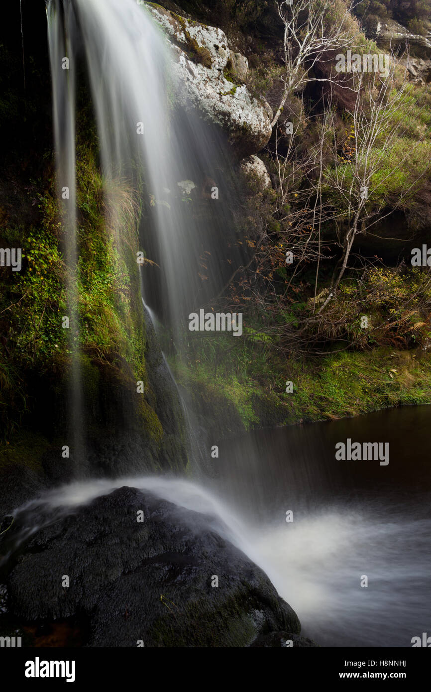 Cascata vicino a Otterburn nel cuore di Northumberland, Inghilterra, in una bella e segreta, valle appartata posizione Foto Stock