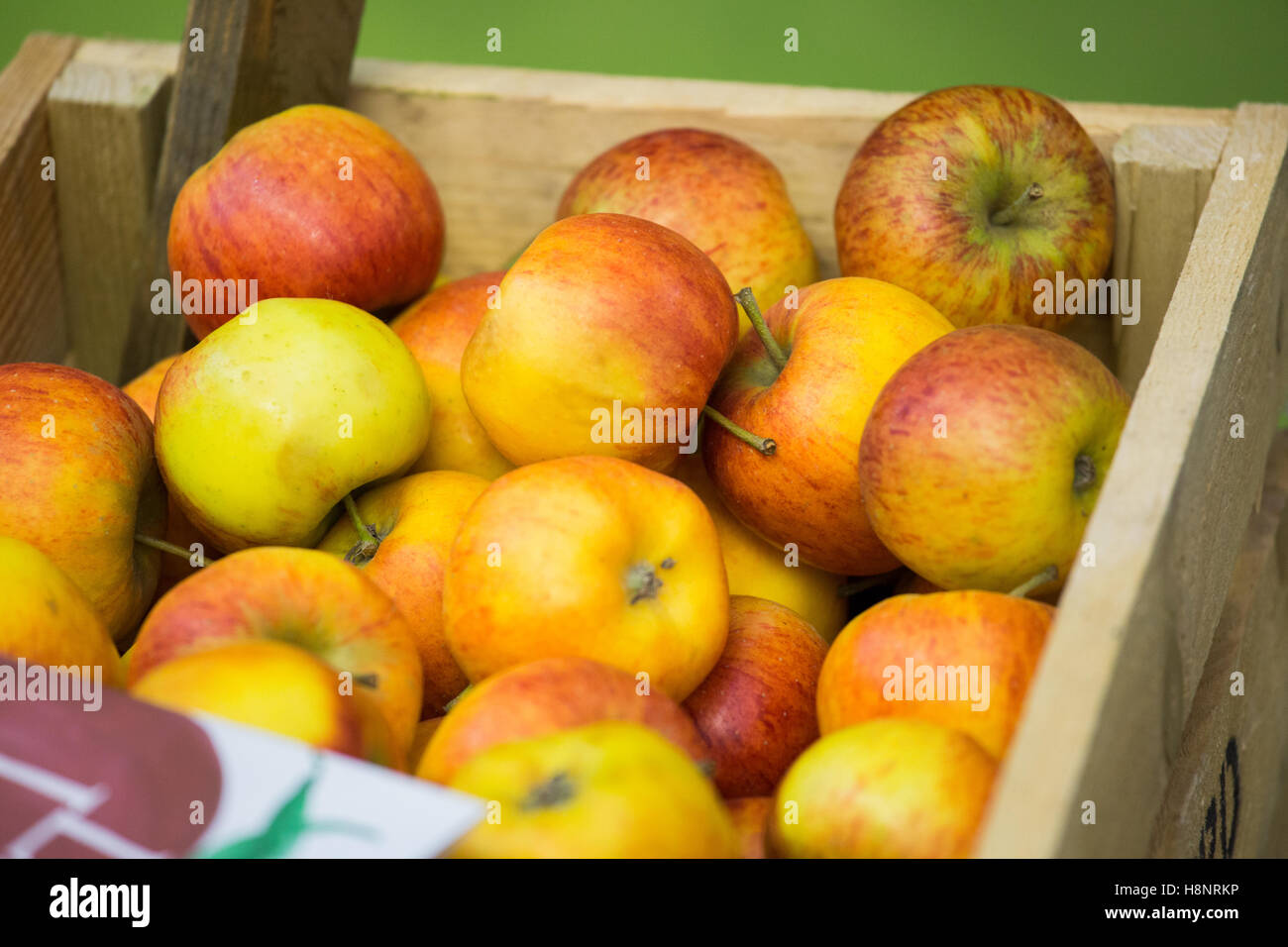 Materie organiche rosso/giallo mele visualizzata alla BBC Good Food Show tenutosi a Olympia, Londra. Foto Stock