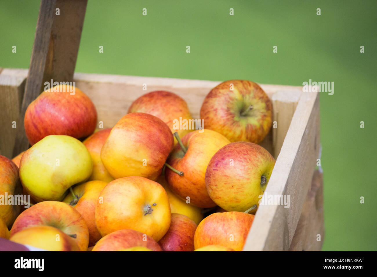 Materie organiche frutto in una cassa visualizzata alla BBC Good Food Show tenutosi a Olympia, Londra. Foto Stock
