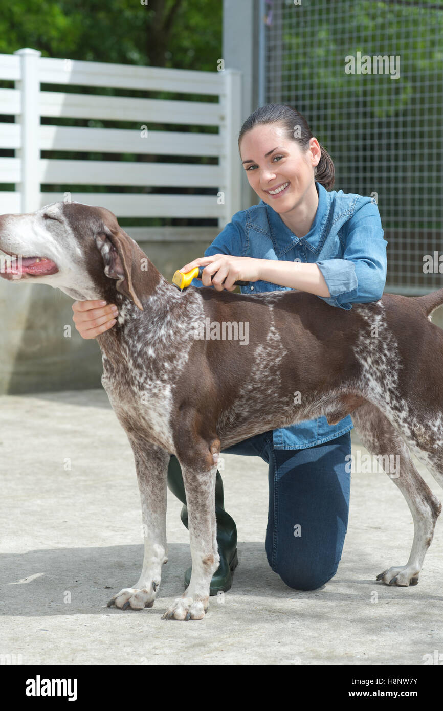 Vet femmina strofinarsi il cane a animal shelter Foto Stock