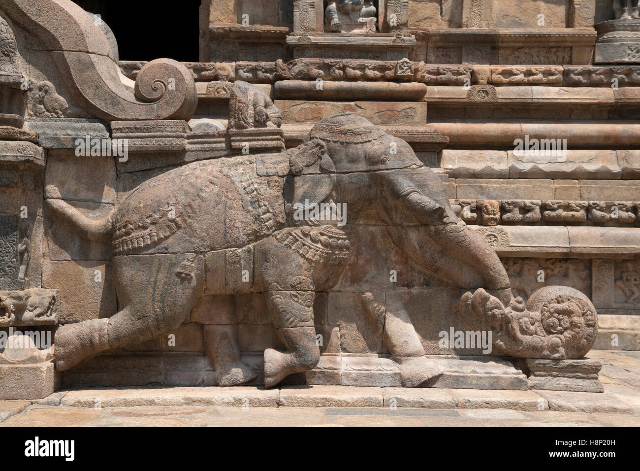 Elephant vicino a gradini, agra-mandapa, Tempio Airavatesvara, Darasuram, Tamil Nadu, India. Vista da sud. Foto Stock
