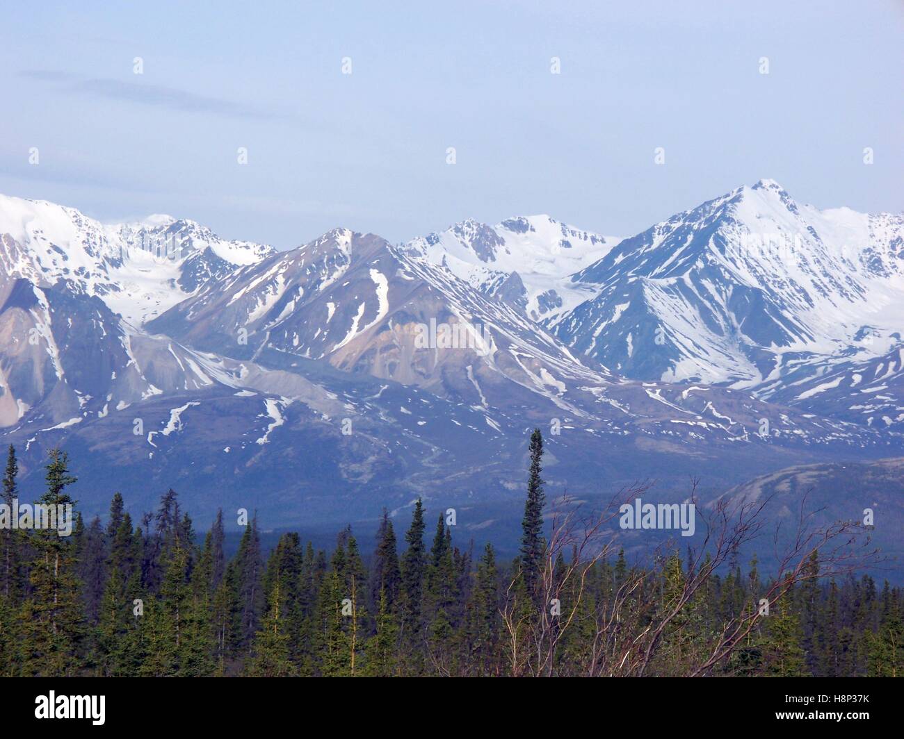 Le montagne di Denali State Park in estate Foto Stock