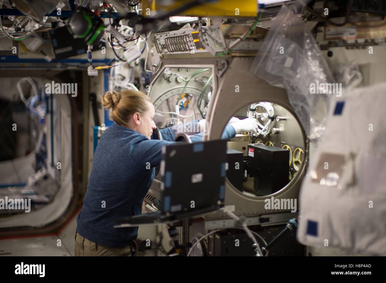 La NASA Stazione Spaziale Internazionale astronauta Kate Rubins opere sulla microgravità cell cultura e ricerca in laboratorio a bordo della ISS Settembre 13, 2016 in orbita intorno alla terra. Foto Stock