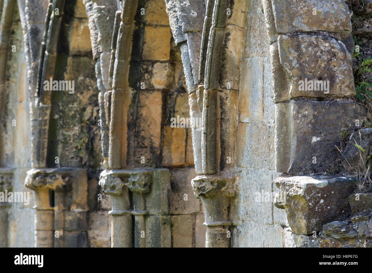 Regno Unito, Inghilterra, Yorkshire, Richmond - dettaglio della pietra intagliata all abbazia di Sant Agata, più comunemente noto come Easby Abbey trova Foto Stock