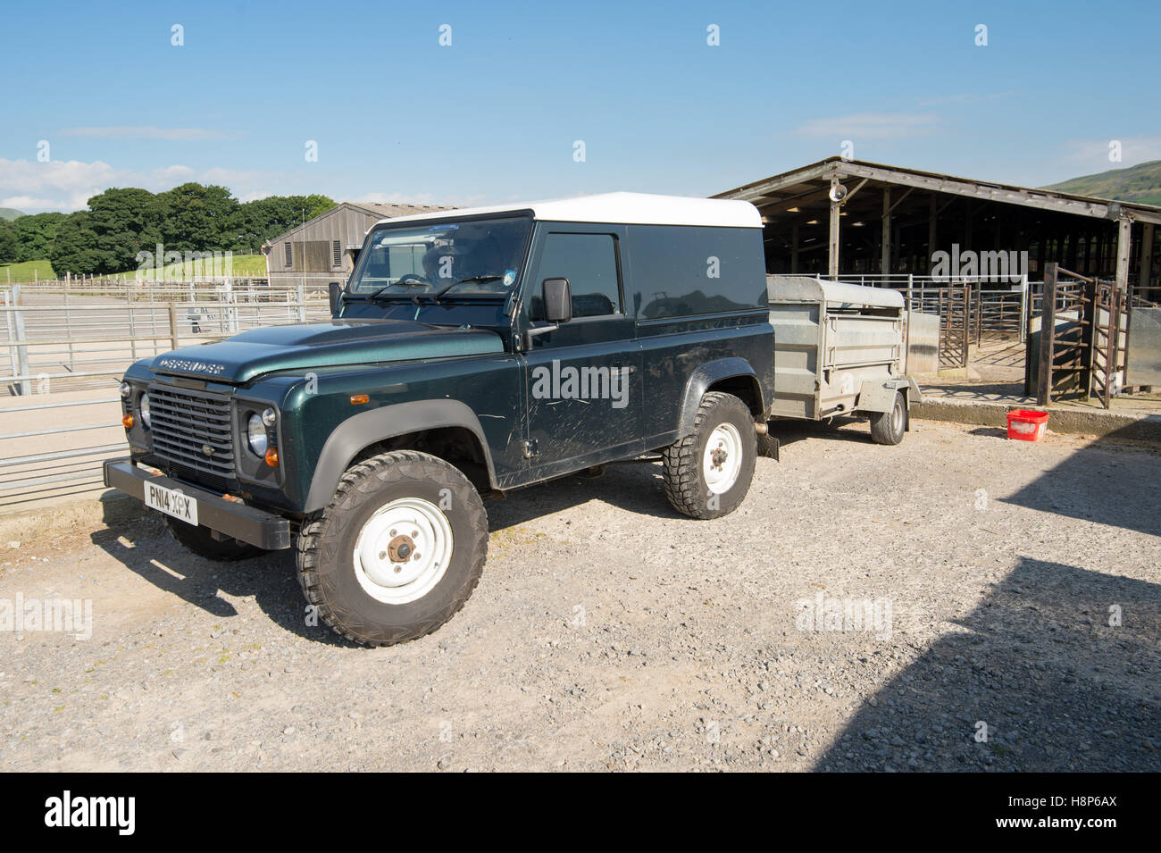 Nel Regno Unito, in Inghilterra , Yorkshire - Hawes asta di bestiame Foto Stock