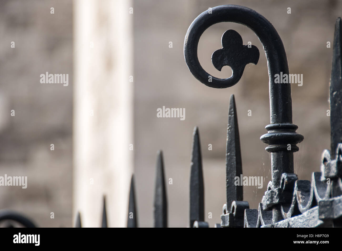 Dublino, Irlanda- decorativi recinzione in ferro nella città di Dublino, la capitale della Repubblica di Irlanda. Foto Stock
