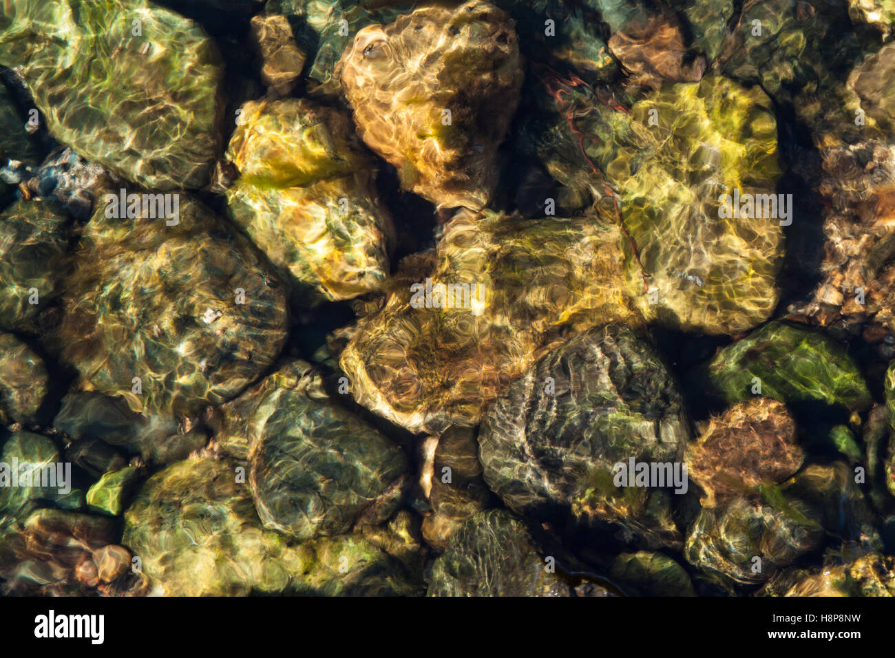 Green color oro e pietre in un riffle poco profonda della Trinità River in California Foto Stock