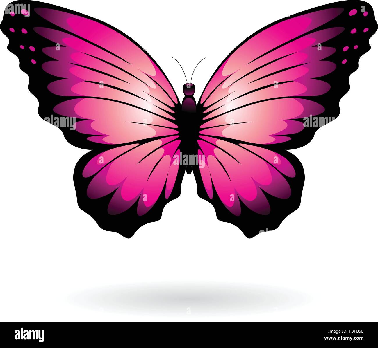 Illustrazione vettoriale di una farfalla colorata isolato su uno sfondo  bianco Immagine e Vettoriale - Alamy