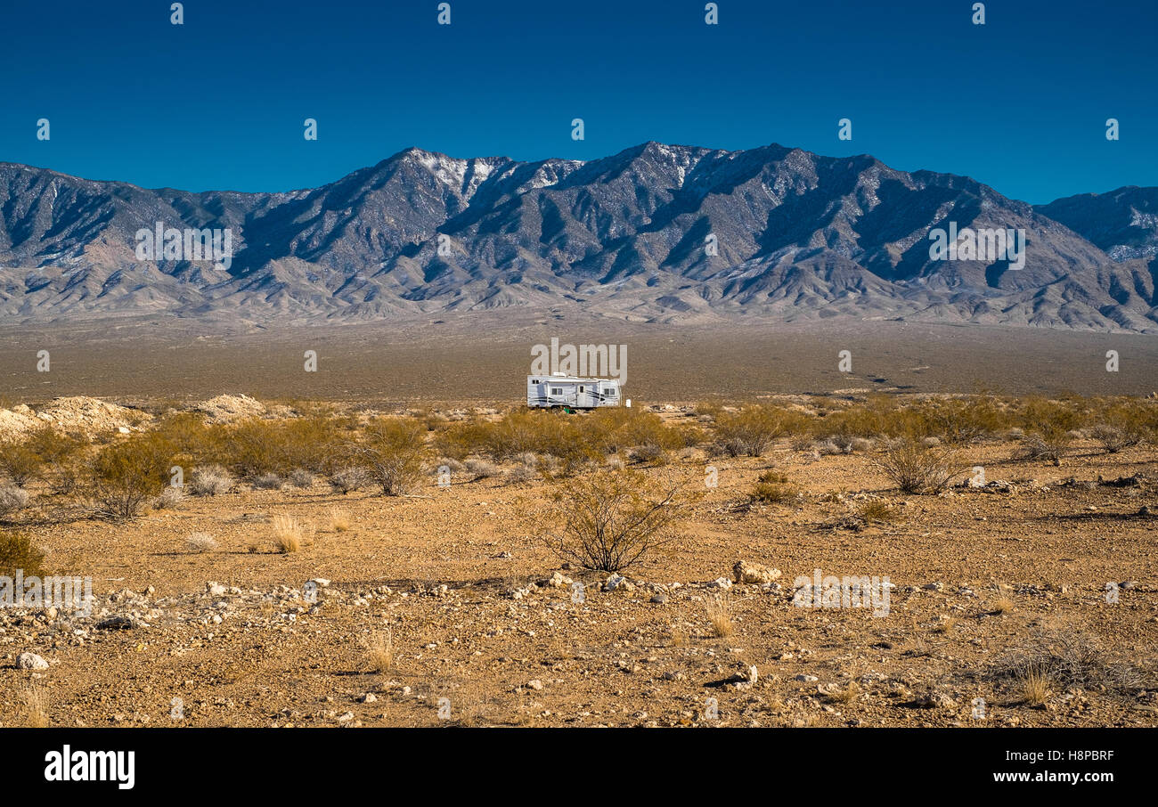 Il deserto del Nevada vita in inverno Foto Stock