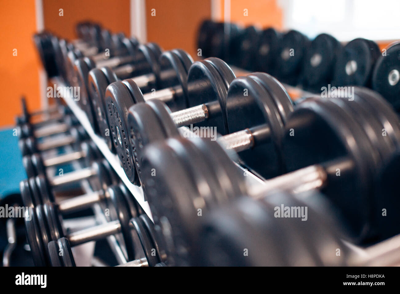 Consente di visualizzare le righe di pesi su un rack in palestra Foto Stock
