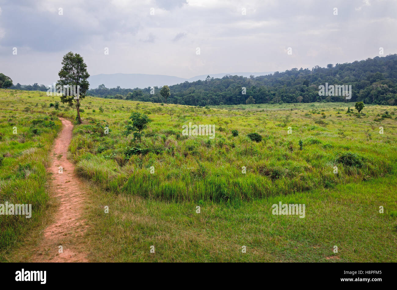 Bellissimo paesaggio nel Parco Nazionale di Khao Yai Thailandia Foto Stock