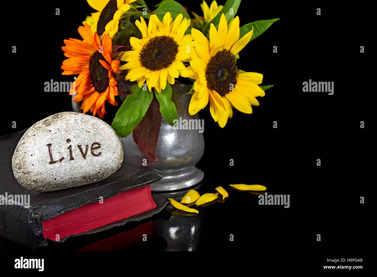 Vivere la parola scolpita in pietra sulla Sacra Bibbia con bouquet di semi di girasole Foto Stock