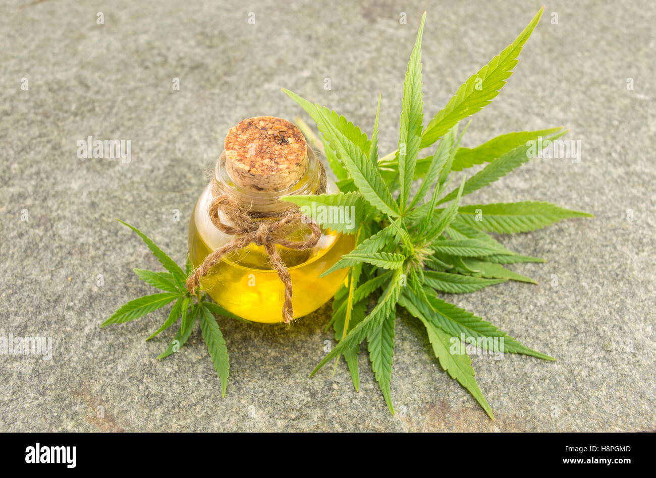 Piante di marijuana e olio di cannabis. Medicina alternativa Foto Stock