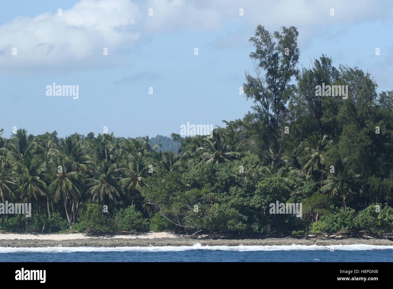 Isola costa con alberi, palme, sabbia e reef Foto Stock