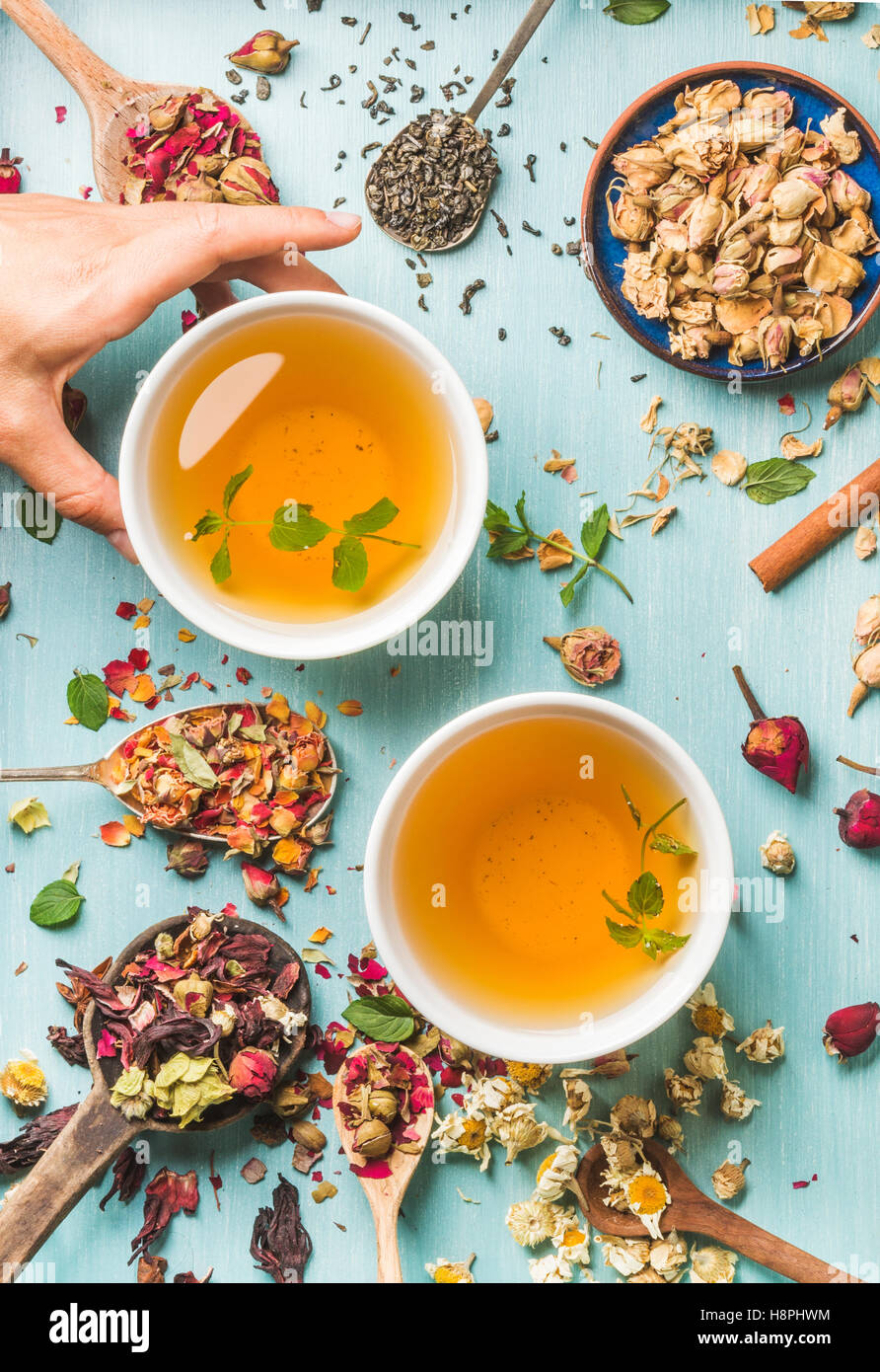 Due tazze di sano tè alle erbe con la menta, cannella, essiccato rose e fiori di camomilla in diversi cucchiai, donna di mano che regge una tazza su sfondo blu Foto Stock