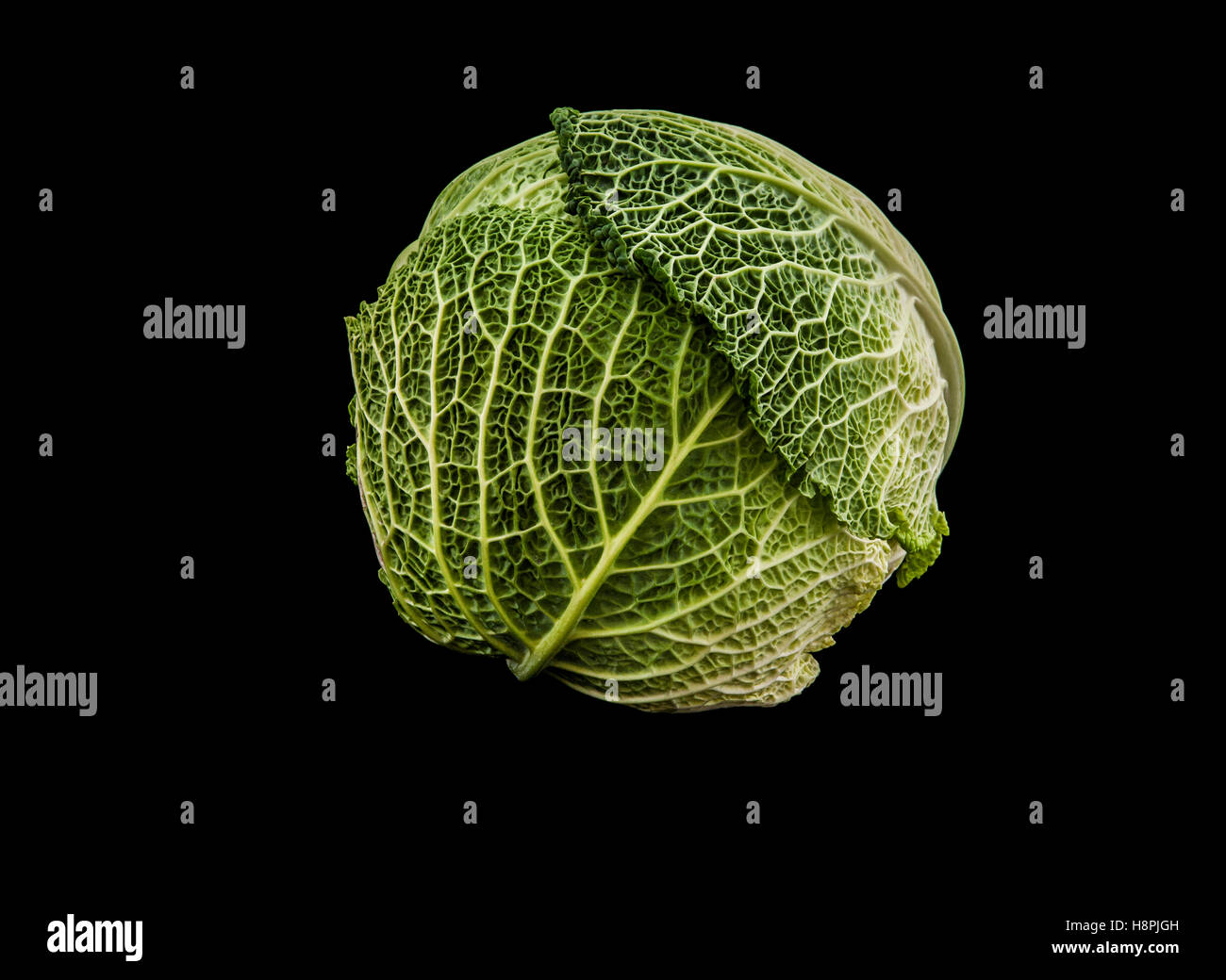 Primo piano testa di cavolo savoy su sfondo nero, Pantone 2017, Stati Uniti, Stati Uniti, produrre sfumature di verde, alimentari alimentari Foto Stock