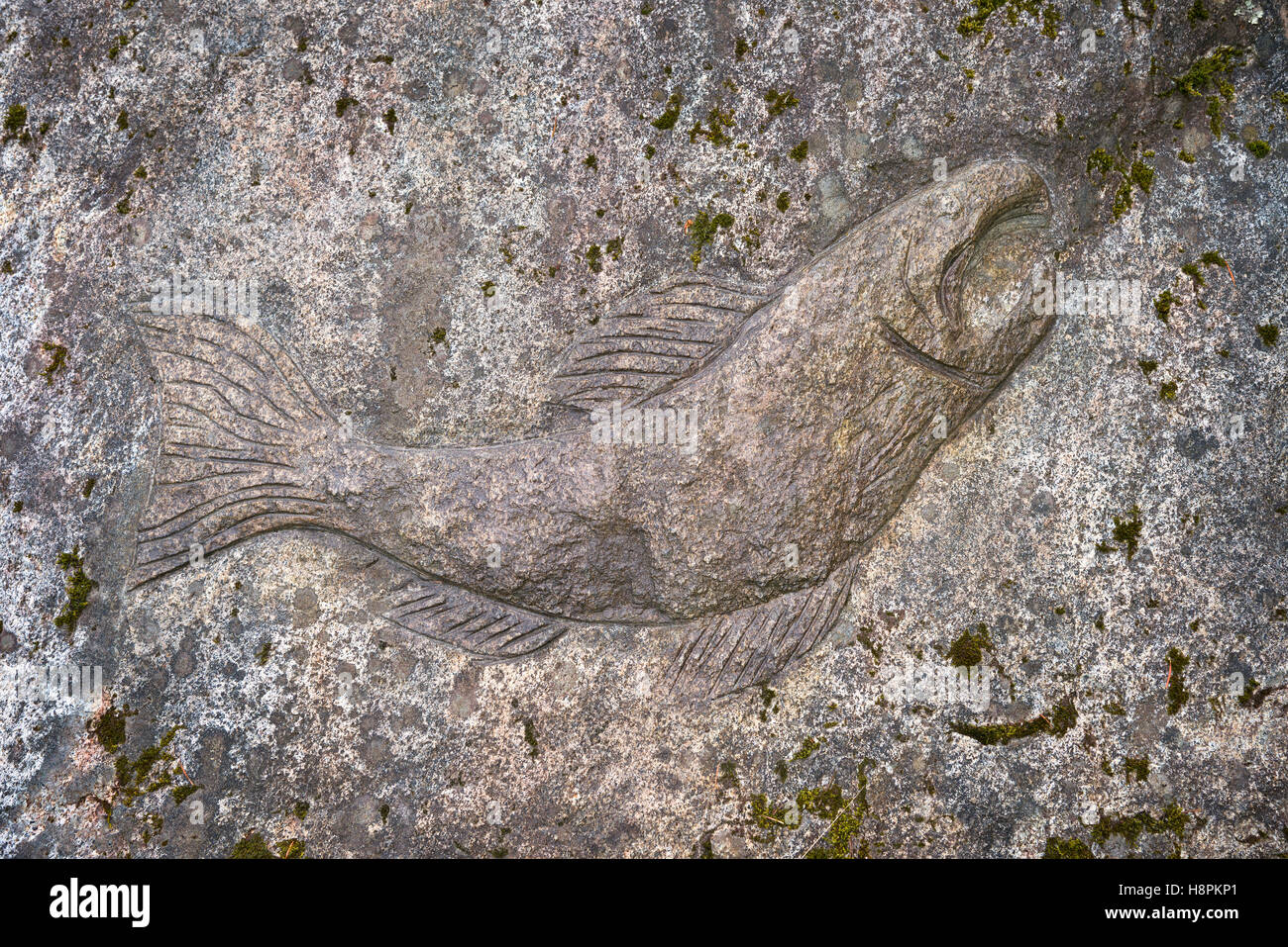 Scultura di salmone Foto Stock