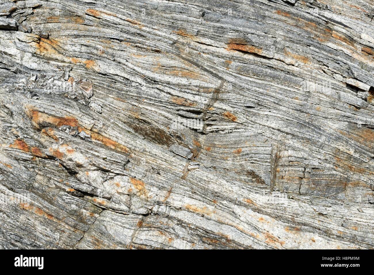 La sezione trasversale e la struttura di Lewis, gneiss, Lewisian, rocce metamorfiche, rocce più antiche in Europa, Ebridi Esterne, isola di Lewis Foto Stock